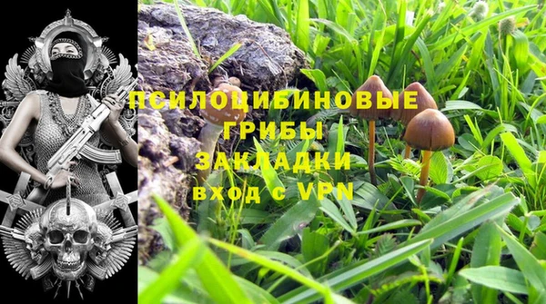 бошки Алексеевка