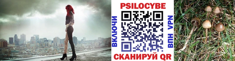 Псилоцибиновые грибы GOLDEN TEACHER  Дзержинский 